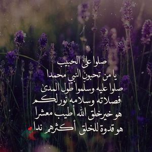 Meet your Posher, Hafida